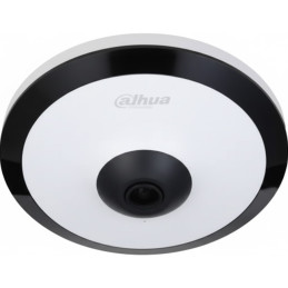 Caméra WizMind - Dahua - DH-IPC-EW5541P-AS