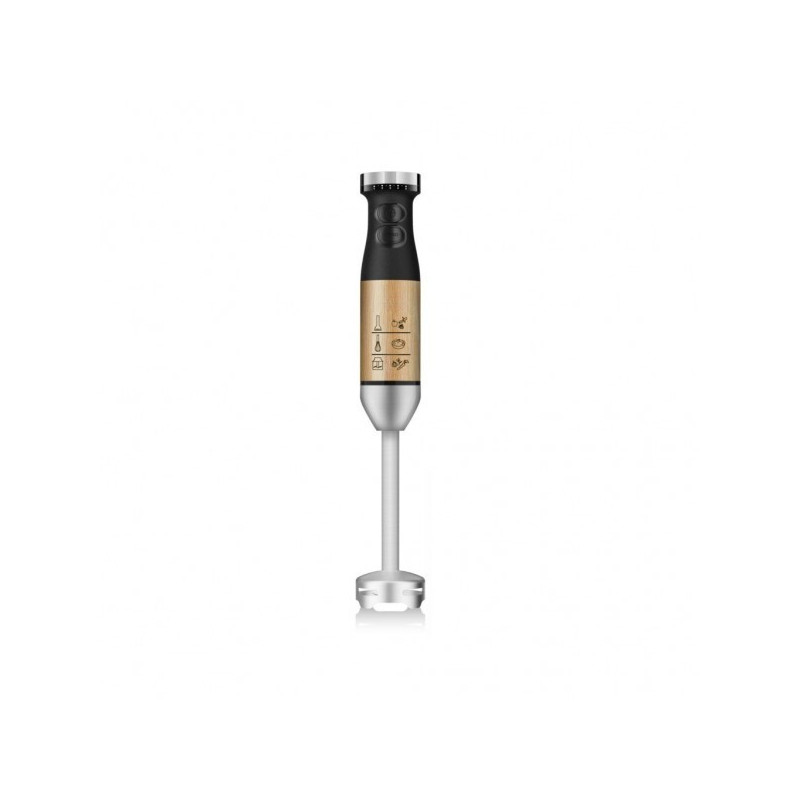 Mixeur plongeant NASCO - MIXER_HB5010KB-GS