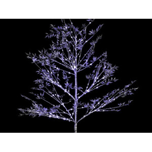Location d'Arbre Lumineux LED - Décoration de Prestige
