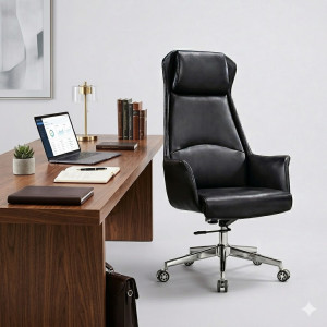 Chaise Directeur C840-1 Chaise Directeur C840-1