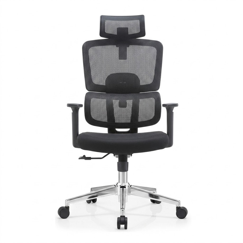 Siège de Bureau Ergonomique Direction Premium