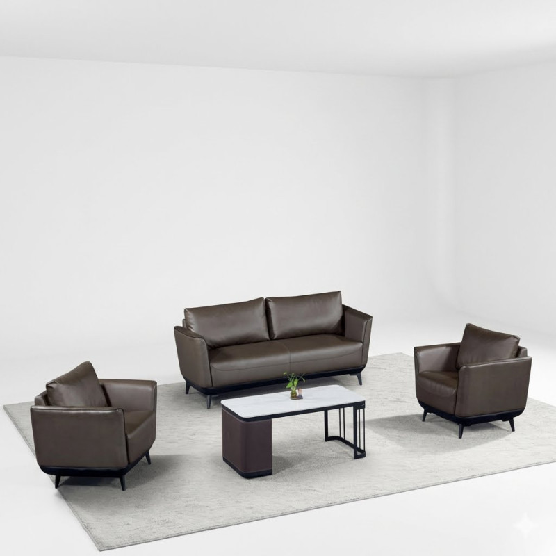 Salon moderne de couleur marron avec une table basse blanche - Y9902
