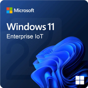 Licence Authentique Microsoft Windows 11 IoT Enterprise Pour 1 Poste