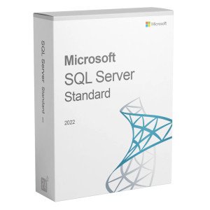 Licence Authentique Microsoft SQL Server 2022 Standard