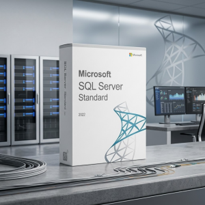 Licence Authentique Microsoft SQL Server 2022 Standard