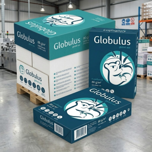 Ramette ou rame de papier Format A4 Globulus - Lot de 5 Cartons