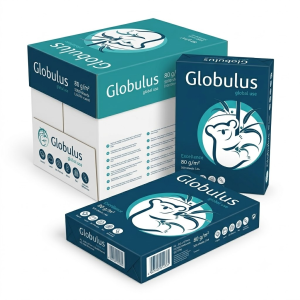 Ramette ou rame de papier Format A4 Globulus - Lot de 5 Cartons
