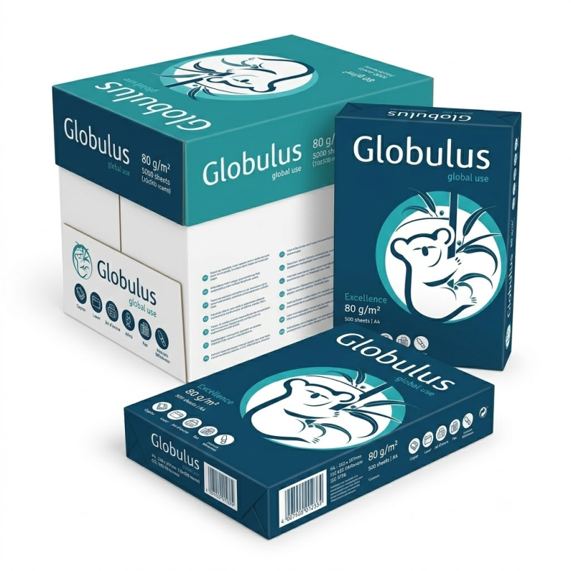 Ramette ou rame de papier Format A4 Globulus - Lot de 5 Cartons