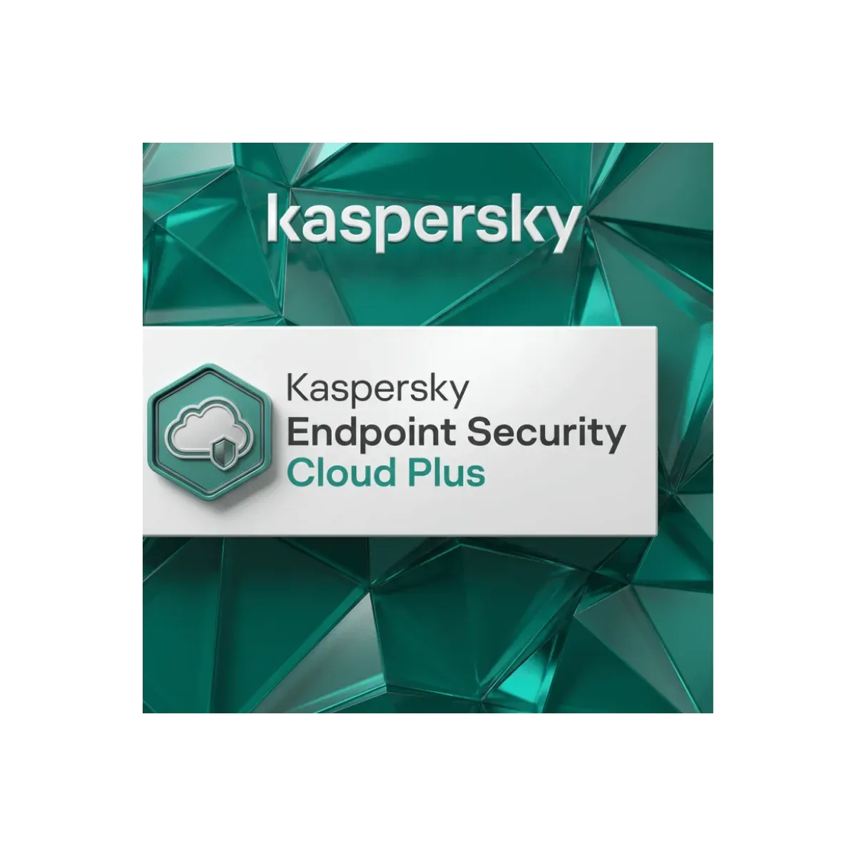 Kaspersky Endpoint Security Cloud Plus 1 An Nouvel Achat 5 - 9 Workstations / Fileserver Kaspersky Endpoint Security Cloud Plus 1 An Nouvel Achat 5 - 9 Workstations / Fileserver