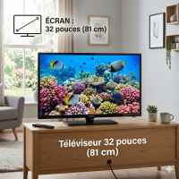 TV 32 Pouces