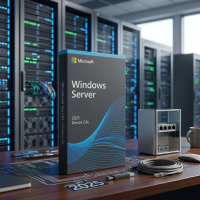 Microsoft Windows Server 2025 CAL
