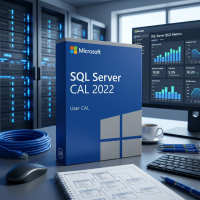 Microsoft SQL Server 2022 CAL