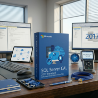 Microsoft SQL Server 2017 CAL